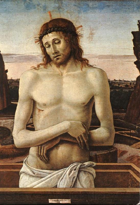 BELLINI, Giovanni Dead Christ in the Sepulchre (Pieta) France oil painting art